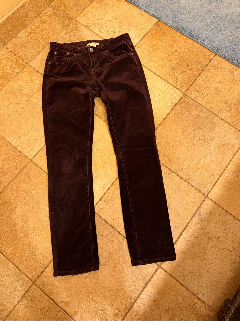 Sundance Velvet Skinny Pants in Deep Plum P4